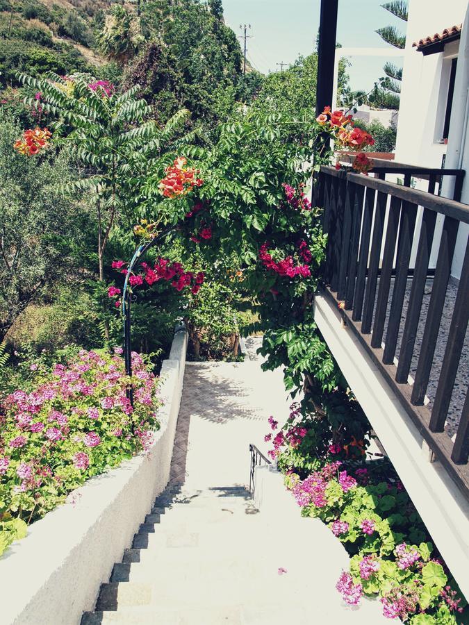 Oliaria Apartments ปลาเตเนียส ภายนอก รูปภาพ